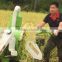 HIGH QUALITY PADDY HARVESTER