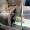 Full Automatic Tarragon Vegetable Packing Equipment/machine