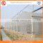 Agriculture Equipment Multi-span 6.0m PO Film Greenhouse for Sale