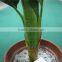 artificial bonsai plants artificial red palm bonsai decor