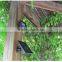 Bright LED Solar Home Lights Human Body Induction Lamp Outdoor Lamp