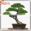 distinctive designs a wide variety of artifical life size artificial decorative plants and trees