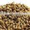 Crude Ajwain oil