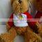 Custom soft teddy bears with flexible joint arms and legs