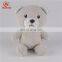 ICTI ODM 12cm custom teddy bear toy plush bear toy