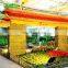 Low Cost Tourism Greenhouse For Sale