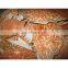 Agriculture High Mineral Protein Animal Feed Crab Shell Powder For Cattle Chicken Dog Fish Horse Pig
