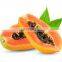 HIGH QUALITY FROZEN PAPAYA FOR SALE WITH GOOD PRICE MADE IN VIET NAM