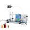 Stainless Steel Double Head Magnetic Pump Liquid Filling Machinery Electric Control for Shampoo Glycerine Vegetable Oil