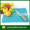Stocked Disposable Round Chopping Board