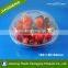 Disposable Plastic Fruit Food Grade Container Clamshell Packing