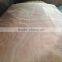 4'*8' 0.28mm pencil cedar veneer C grade cheap for India market