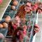 Galvanized Welded Wire Mesh Panels Chicken Cage