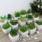 2016 latest artificial succulent plants fake succulents plants