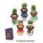 Wholesale Cheap Handmade Growing Grass Doll for Home Decoration