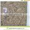 Various Granis Giallo Granite Colors For Building Material