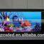 P3 indoor full color advertising led display screen