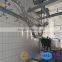 Sheep slaughter equipment bleeding line