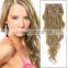 clip on human hair extension/top high quality human hair/100% human hair