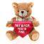 Plush Teddy Bear Soft Bear Chubby Bear Valentine's Gift Love Bear