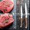 high-Quality Laguiole Decorate Bee color wood handle steak knife set