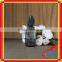 pet plastic bottle iran with 30ml bottle black for e liquid with dropper bottle