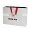 famous brand paper bag,promotional cheap logo shopping bags,smart shopping paper bag