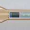 Professional Hair Straightener QY-1068