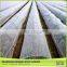 China Hot-Selling Premium Quality Apple Tree Anti-Hail White Net