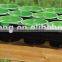 Seed tray / seeding tray / pot tray LJ-4018