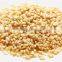 Sesame - Sortex