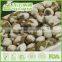 Grain Snack Food Salted Roasted Edamame