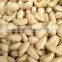 Cashew Nut