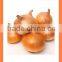 BUlk 2016 new crop Fresh yellow onion