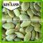 raw organic shine skin pumpkin seeds kernel/pepitas