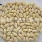 Roasted Blanched Peanuts