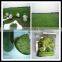 2015 Health food & drink Organic wheat grass powder