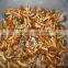 2015 nameko marinated salted nameko mushroom preserved mushroom