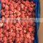 frozen strawberry