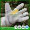 Factory Price Cheap Beekeeping Working Gloves For Sale