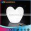 LED Color Changing Hollidays Decoration LED Heart Light