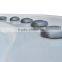 Luxurious Portable Acrylic Balboa Discount Swim Spa