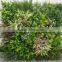 Export factory price fake indoor plant wall