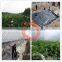 High breaking strength geomembrane