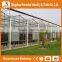 Hot sale trade assurance factory price multi span venlo type glass greenhous for vegetables