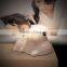 Best Selling High Quality Stepless Dimming, Timed Off, Cordless USB Rechargeable Puppy Dog Table Lamp for Bedside