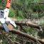 Telescopic Alum Anvil Pruner Garden Tools