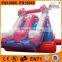 High Quality Outdoor toys inflatable dolphin slides,inflatable water slides