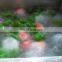Popular Good Price for Commercial Vegetable Washing Equipment