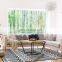 Plastic carpet living room rug 5x8